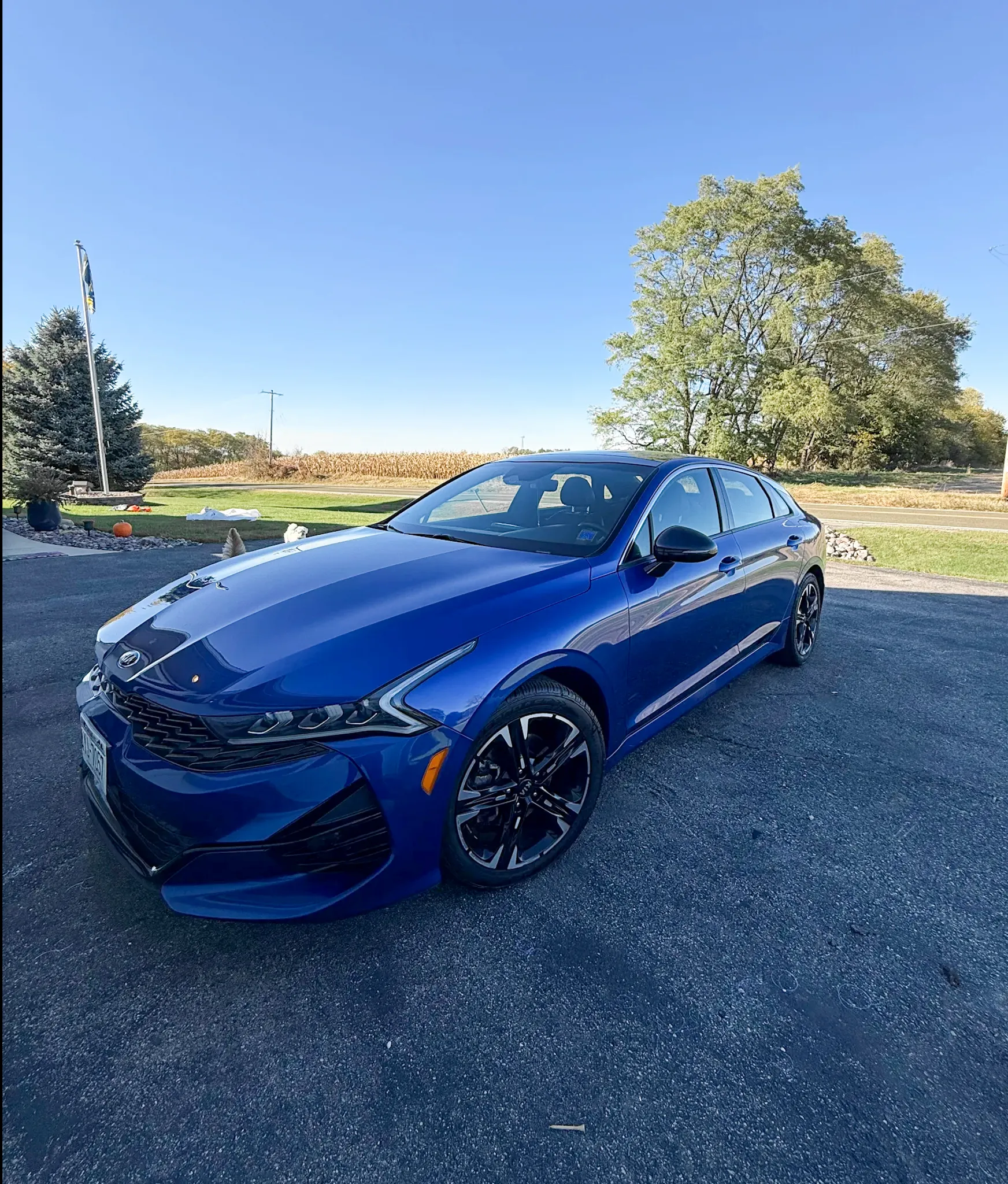 Blue Kia freshly detailed and serviced at Madison Auto Trim
