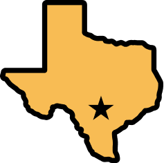 texas icon