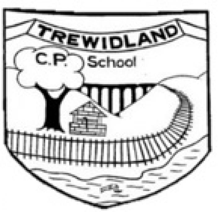 Trewidland Primary School