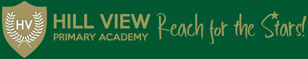 Hill View Primary Academy