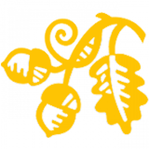 Meavy C of E Primary School