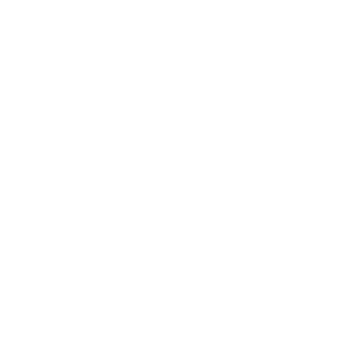 Logo Instagram SPOT bianco