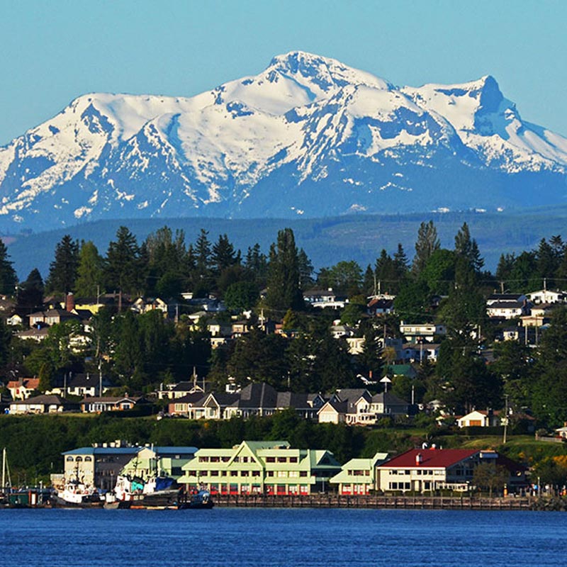 Port Island Painting offers trusted residential and commercial painting services in Campbell River, combining quality craftsmanship with local expertise.