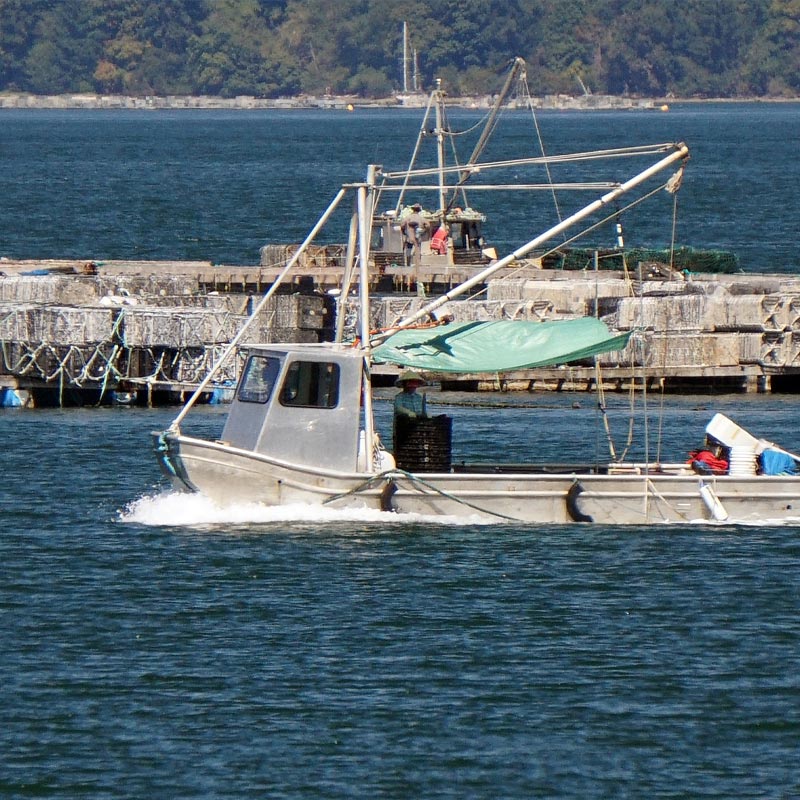 Port Island Painting delivers professional painting services in Union Bay, helping homeowners preserve and enhance their seaside properties.