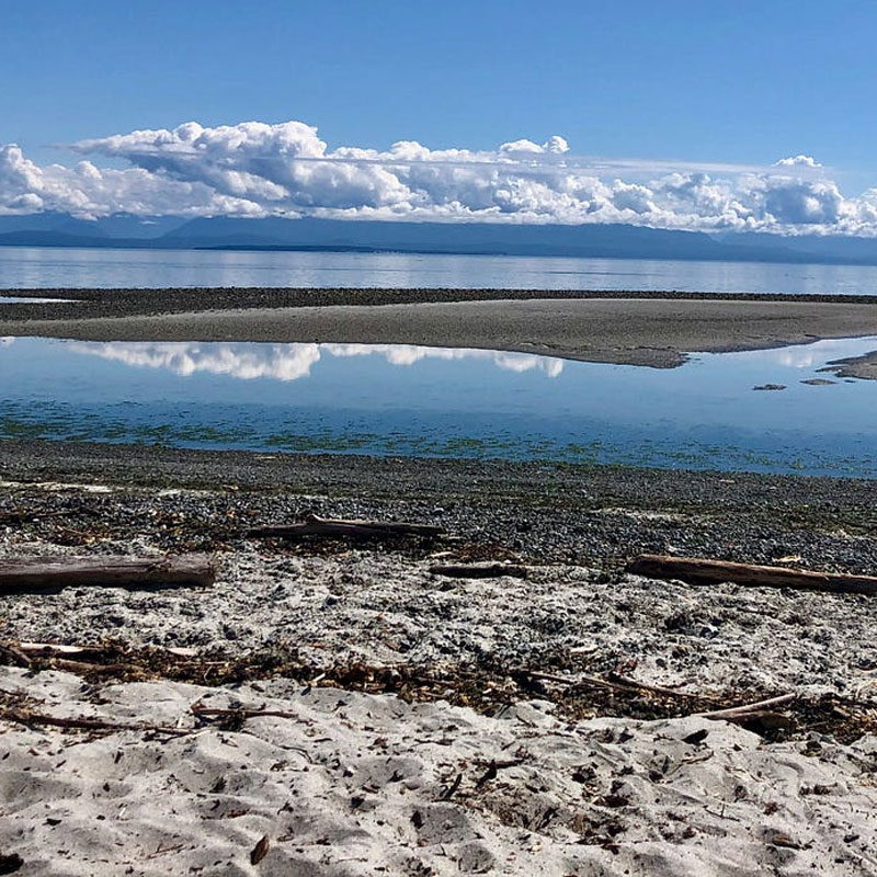 Port Island Painting proudly serves Merville with professional painting solutions for residential and commercial properties of all sizes.