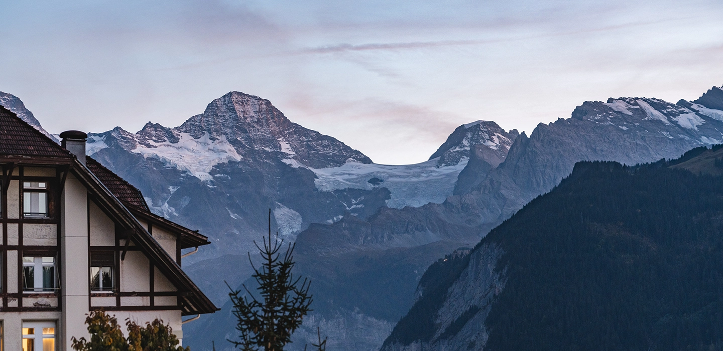Hôtel Braunbär Hotel & Spa vue depuis wengen