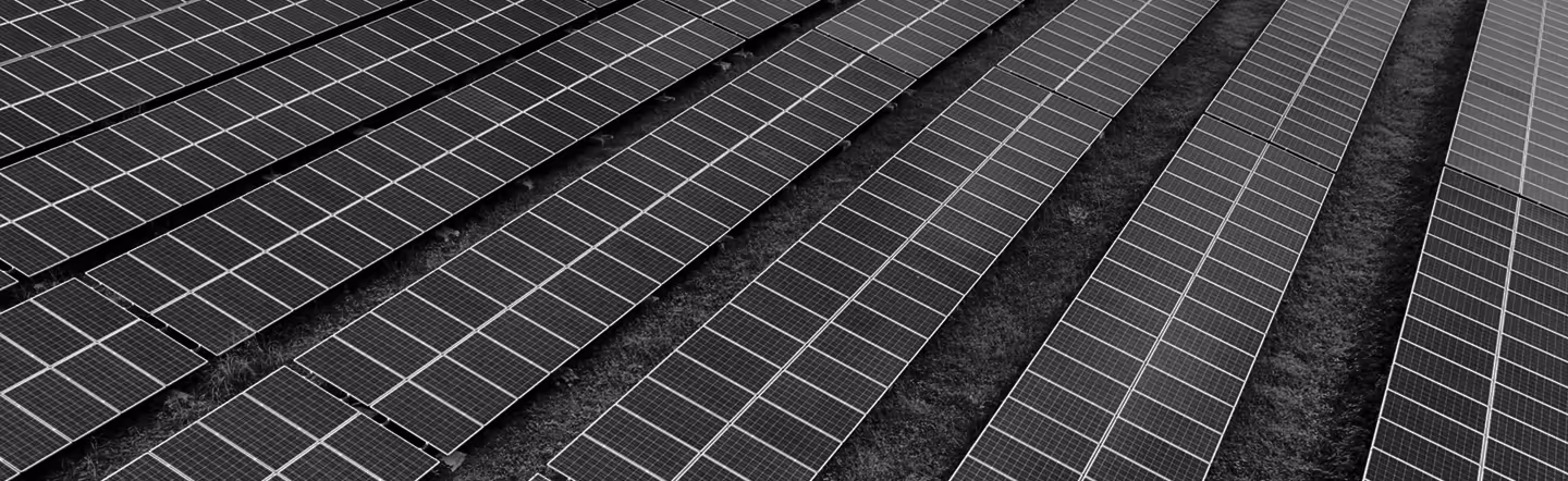 Rows of solar panels installed on a grassy field, angled to capture sunlight.