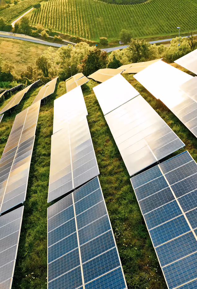Rows of solar panels installed on grass with fields and trees in the background.