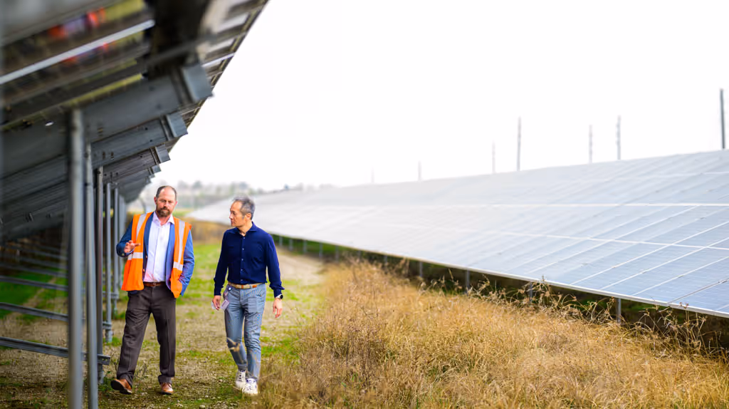 Two men walking and talking between rows of solar panels on a grassy path.