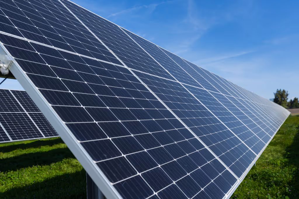 Large solar panel array installed on green grass under blue sky.