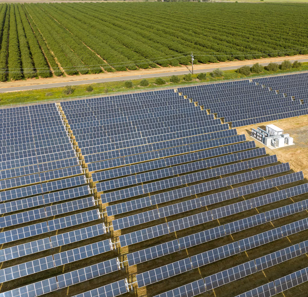 Large field of solar panels arranged in rows next to a green agricultural orchard with a dirt road between.