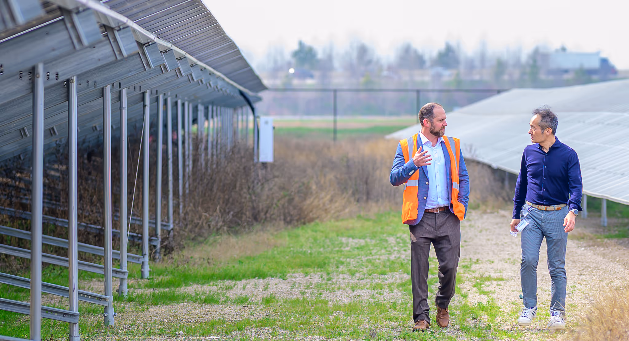 Two men walking and talking beside rows of solar panels outdoors on a grassy path.