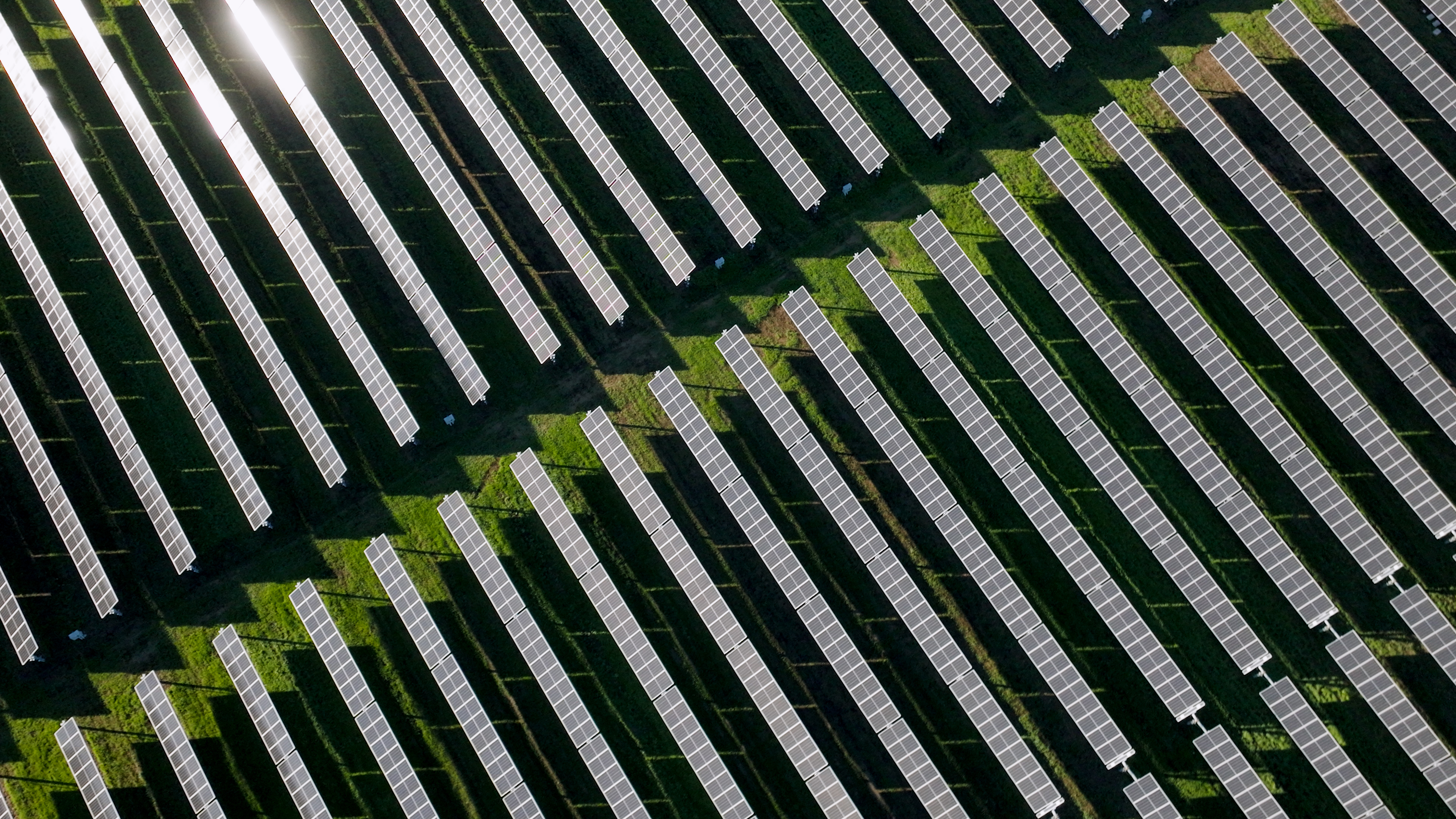Aerial view of solar panels arranged in rows with grass in between, reflecting sunlight.