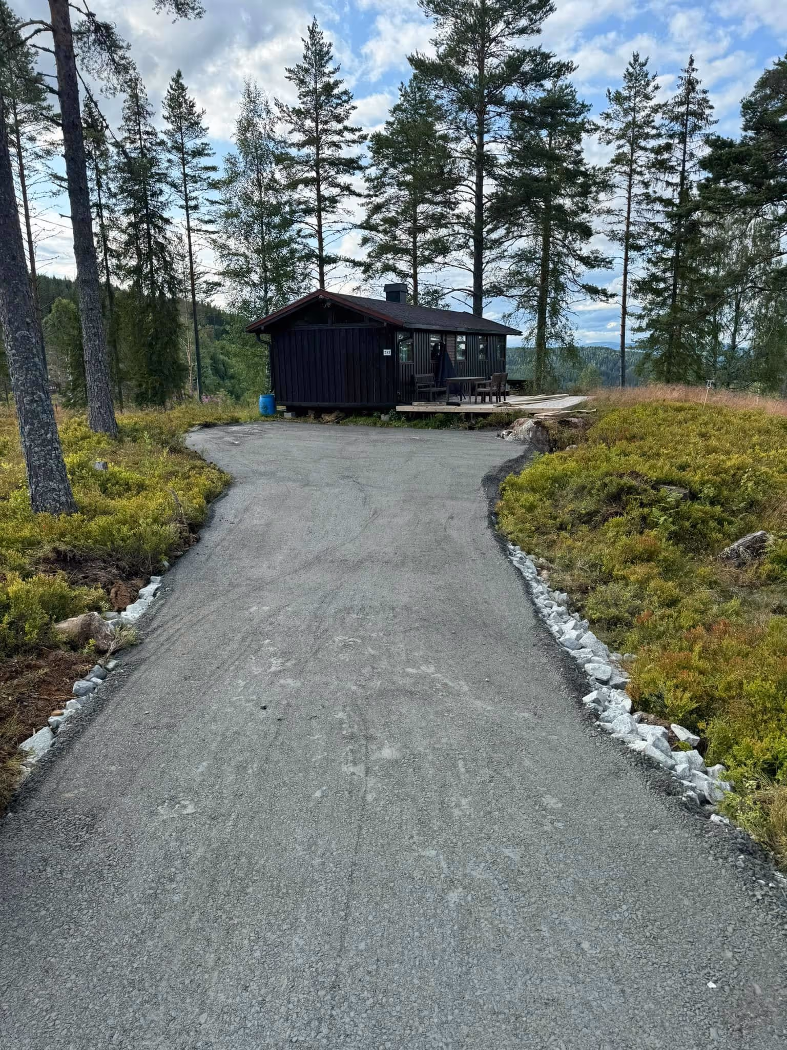 Gravel driveway leading to a small dark wooden cabin surrounded by tall pine trees and green shrubbery under a partly cloudy sky.