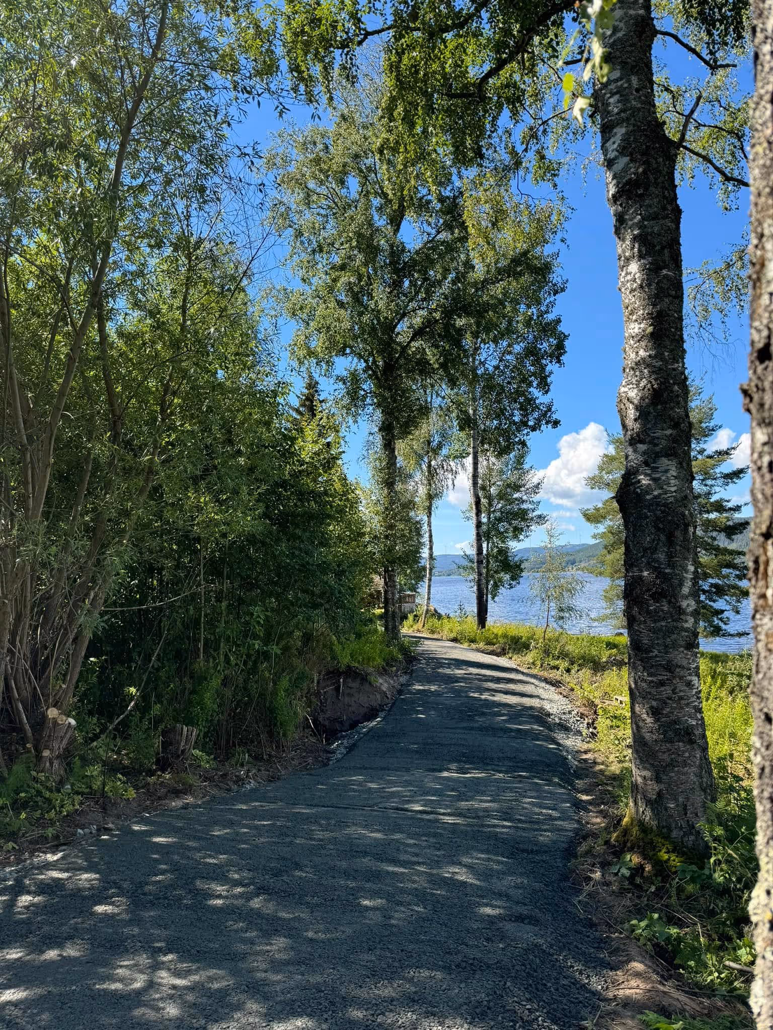 Gravel path surrounded by green trees leading to a lake under a blue sky with clouds.