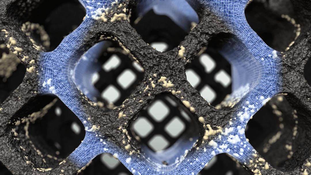 Bone growth sequence frame from an interbody cage mechanism animation