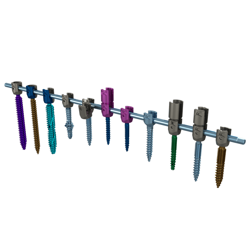 Rod and screw construct render