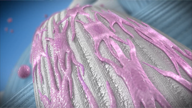 AAOS 2024 general demo reel, frame 1
