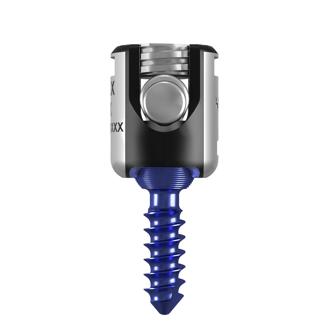 Interbody implant on its inserter, rendered from CAD