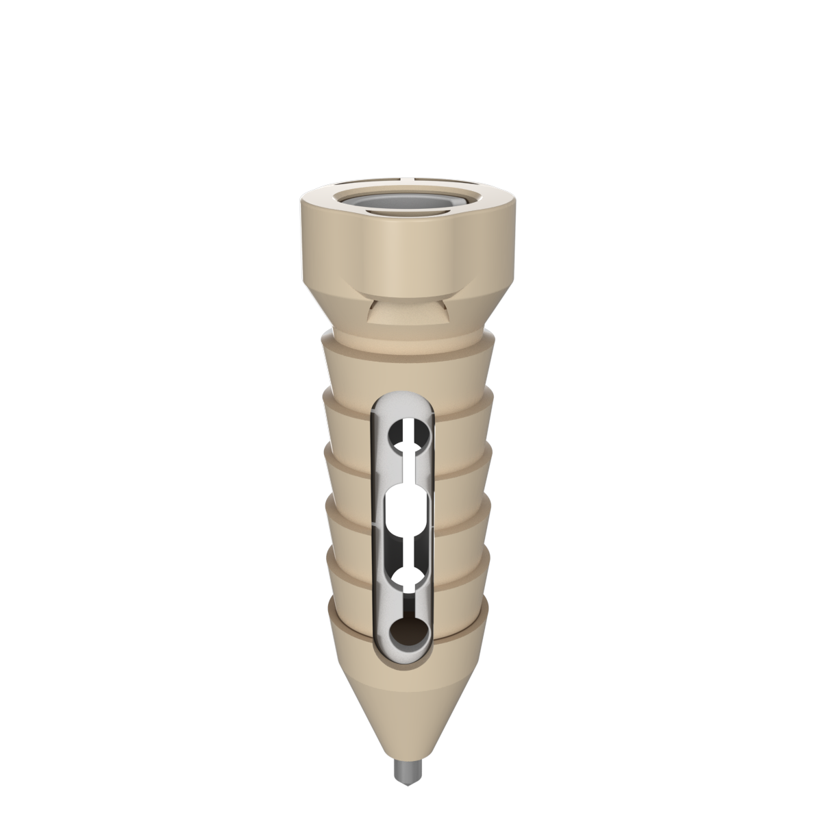 Beige dental implant screw with visible internal retaining components.