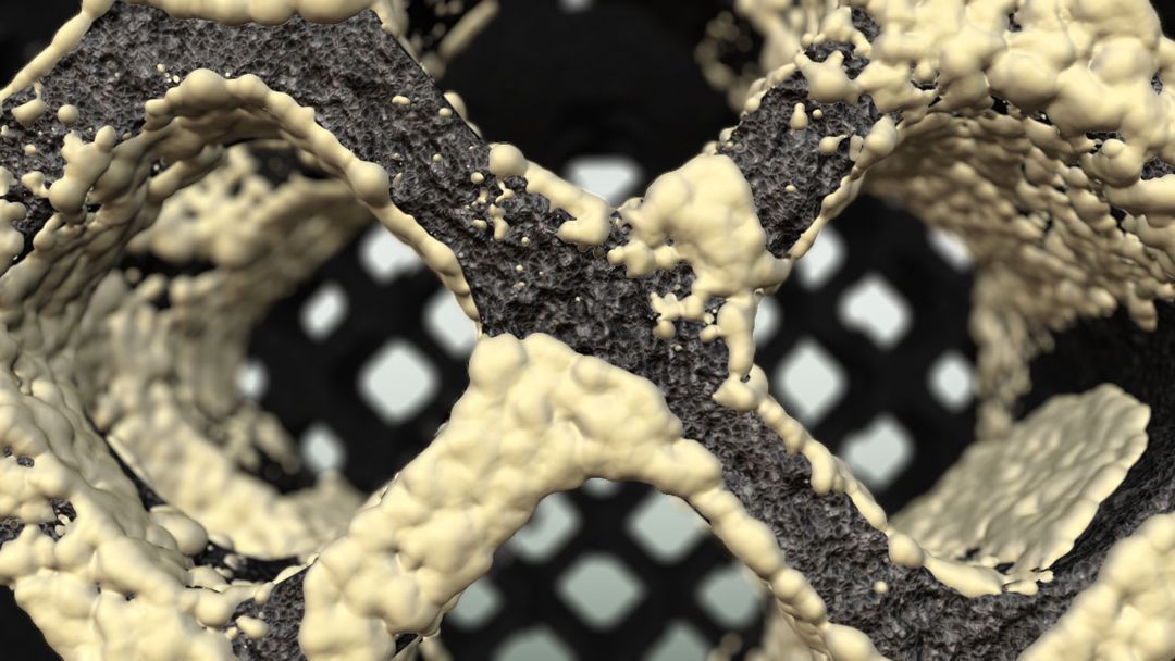 Bone ingrowth through a lattice interbody cage, cross-section render