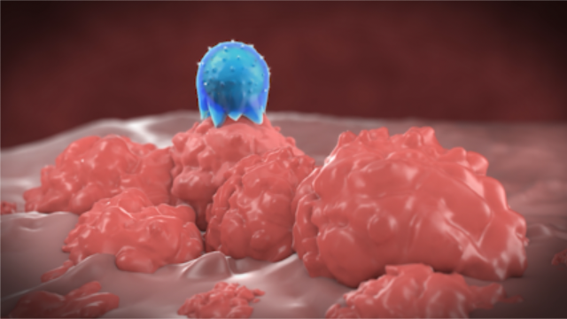 image of tech solutions demonstration (for a hr tech)