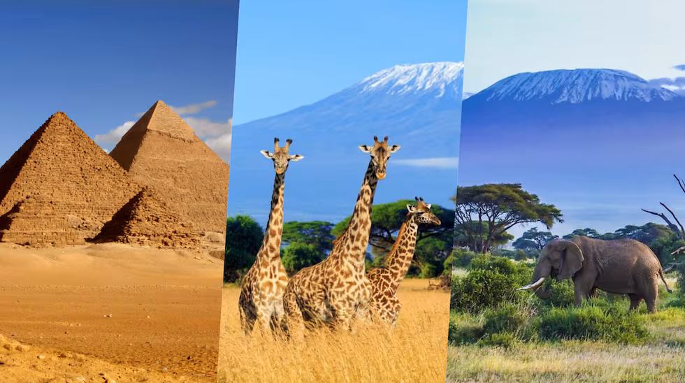 image of a cultural festival (for a travel tech)