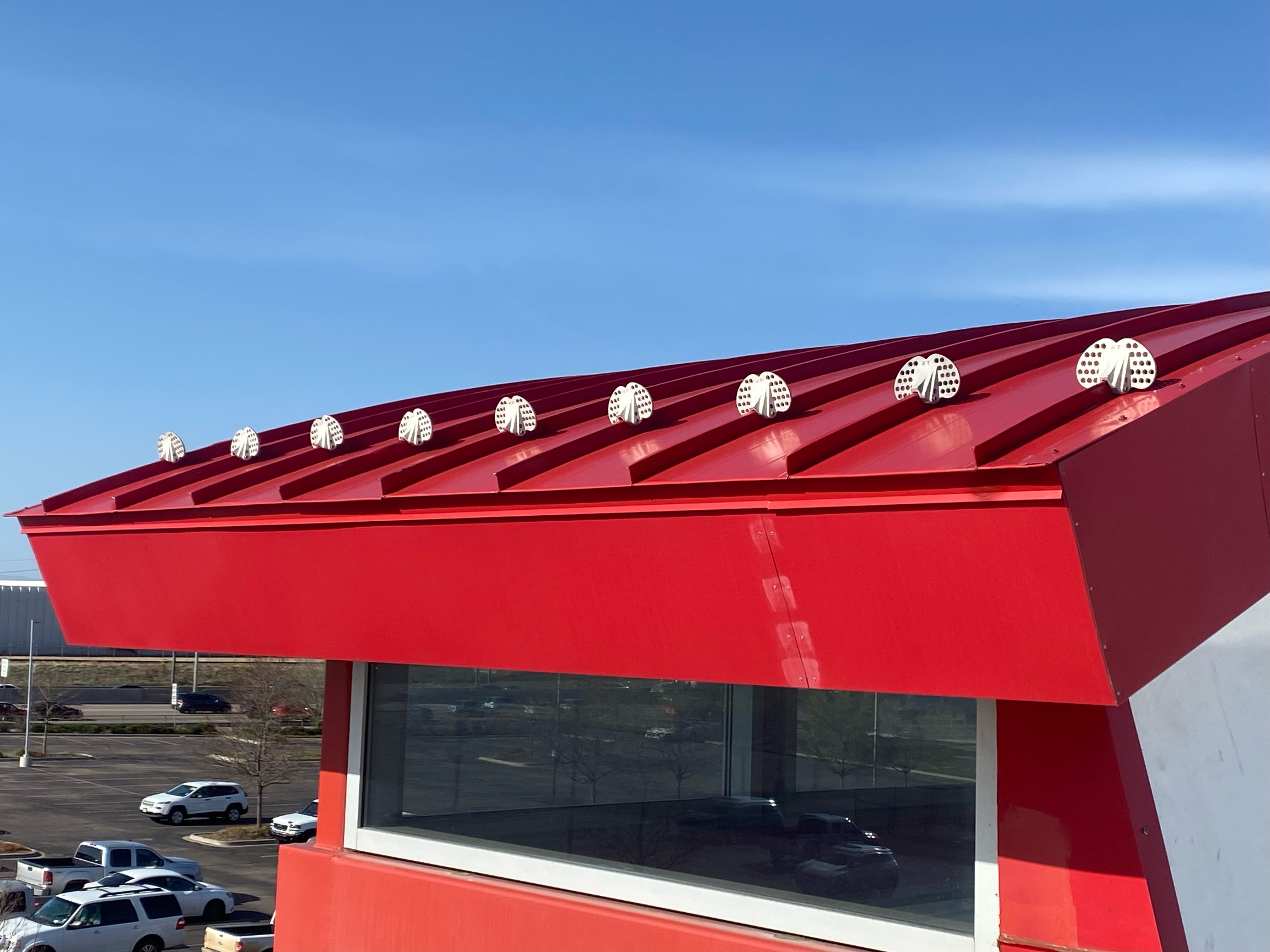 image of a traveler asking a question