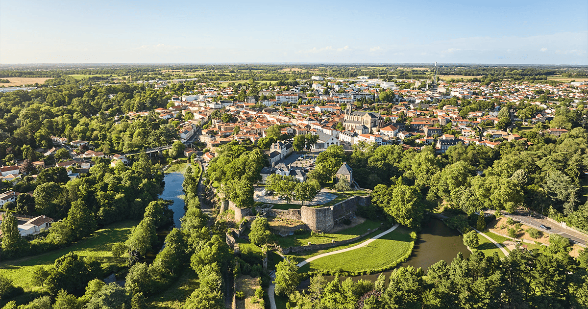 Site internet à Montaigu