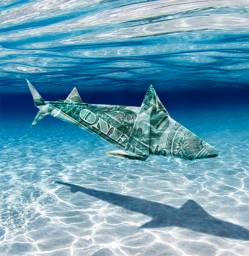 A dollar bill folded into the shape of a shark in the ocean.