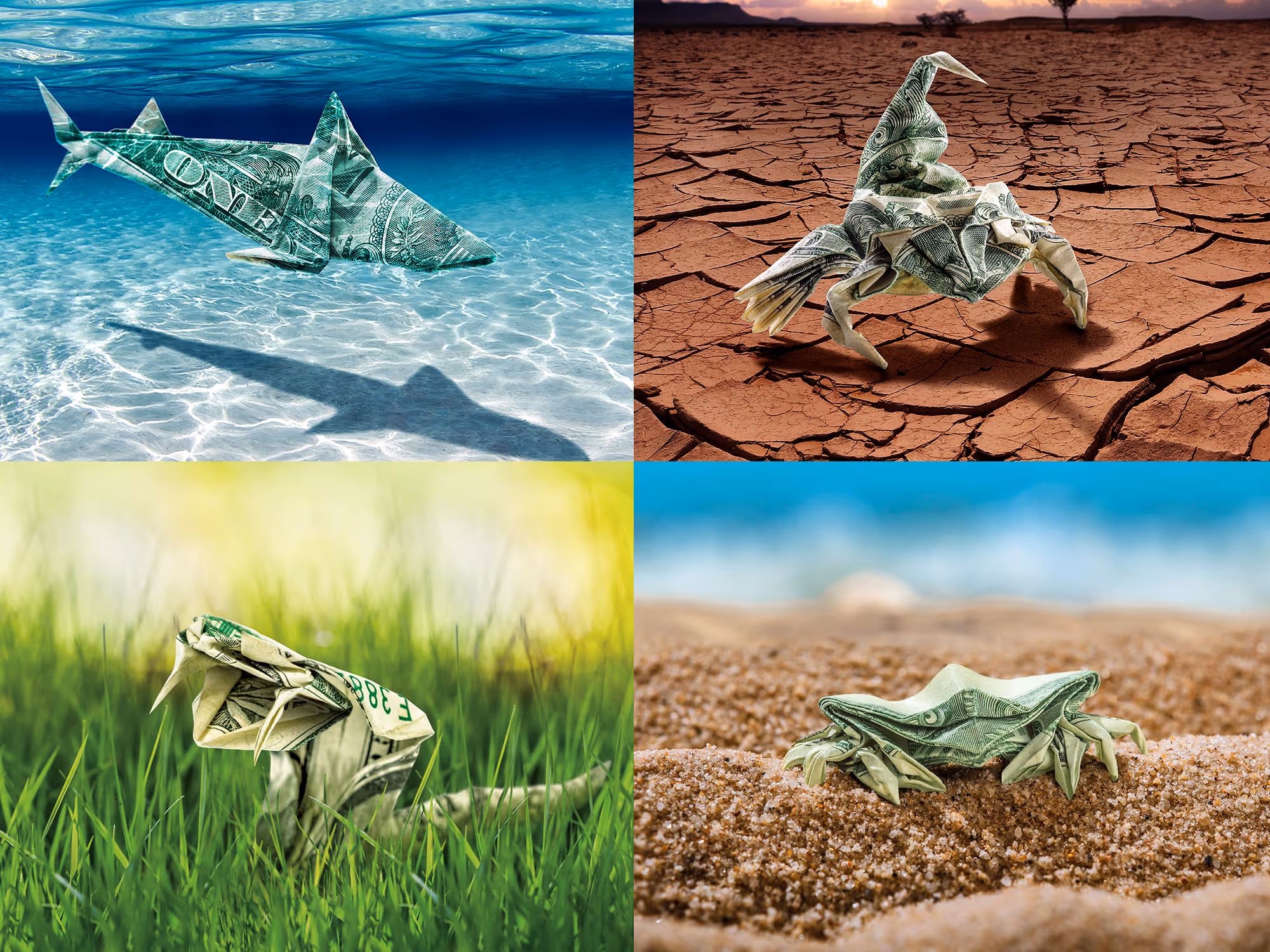 Northwest Bank composite image featuring four origami animals