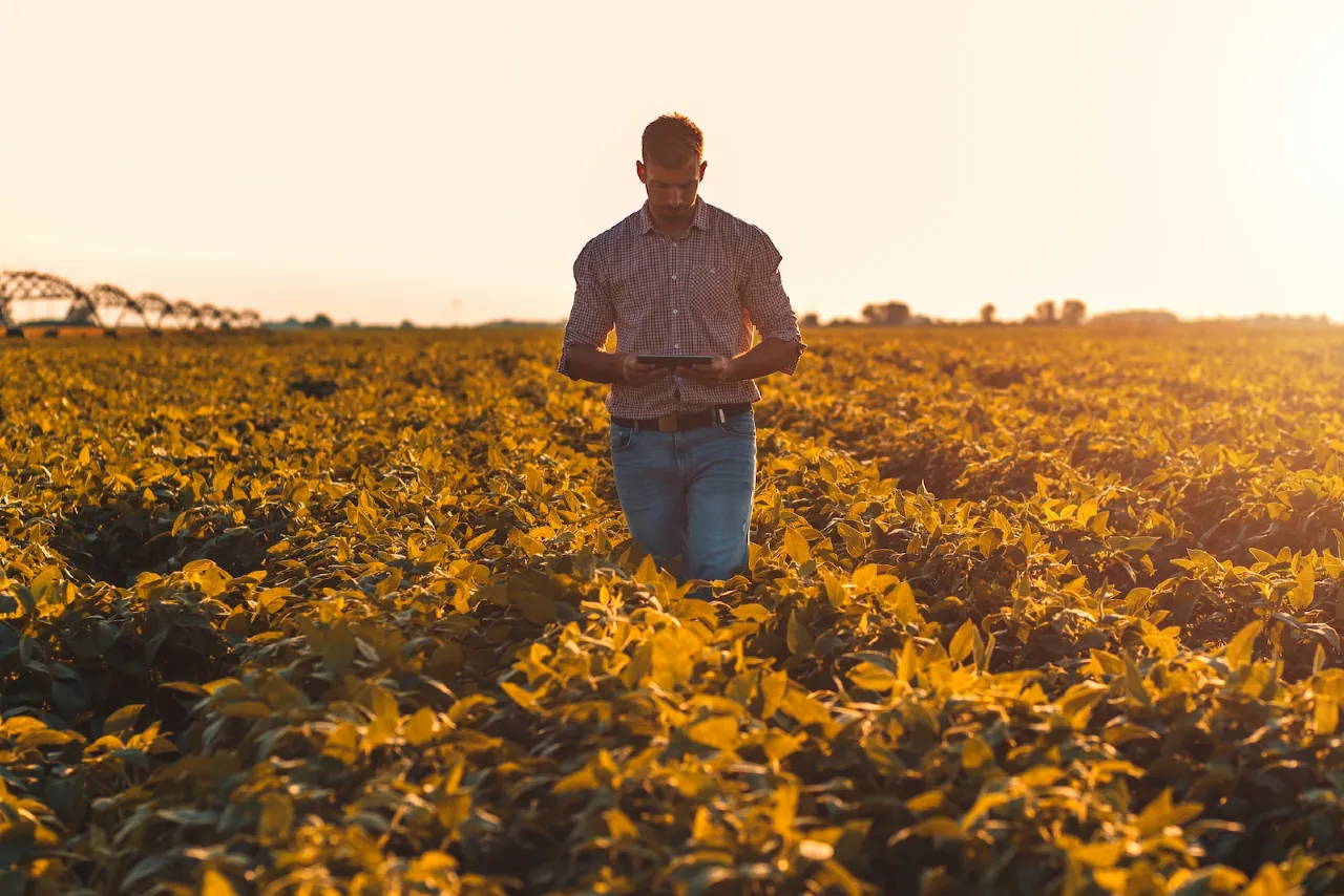 Internet in Connell WA