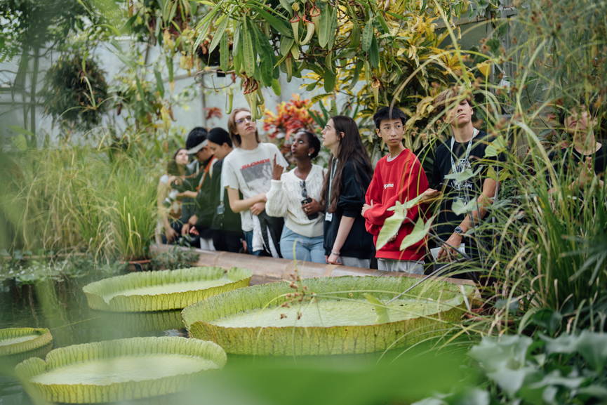 University of Oxford Botanic Garden