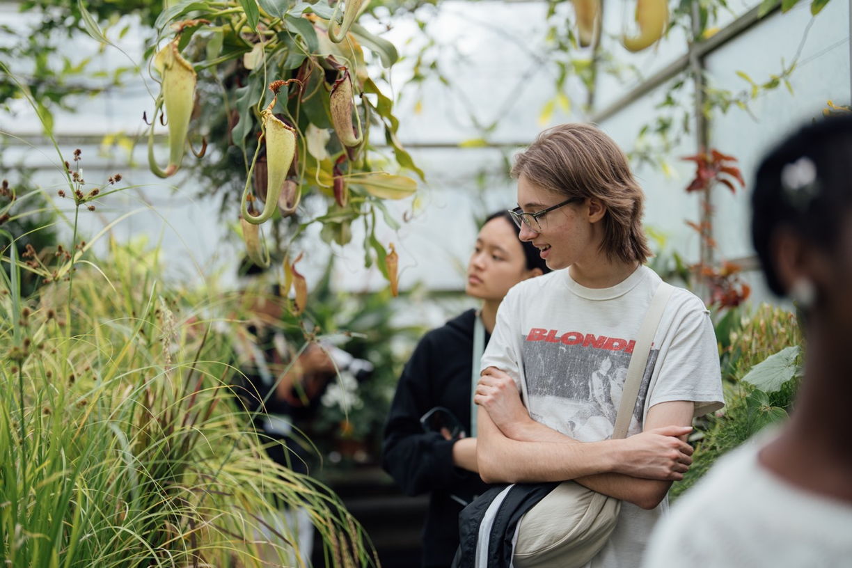 Stream B: Medical and Biological Sciences