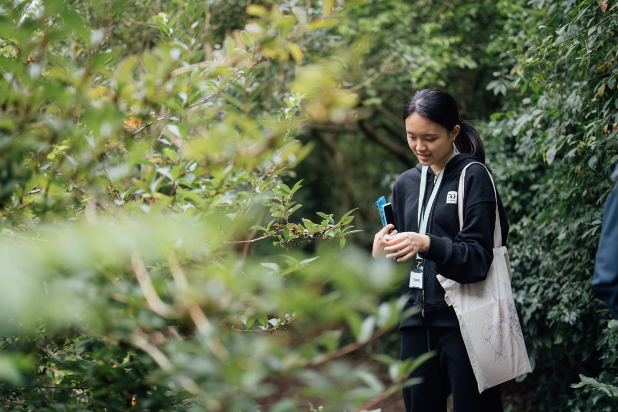 Stream B: Medical and Biological Sciences