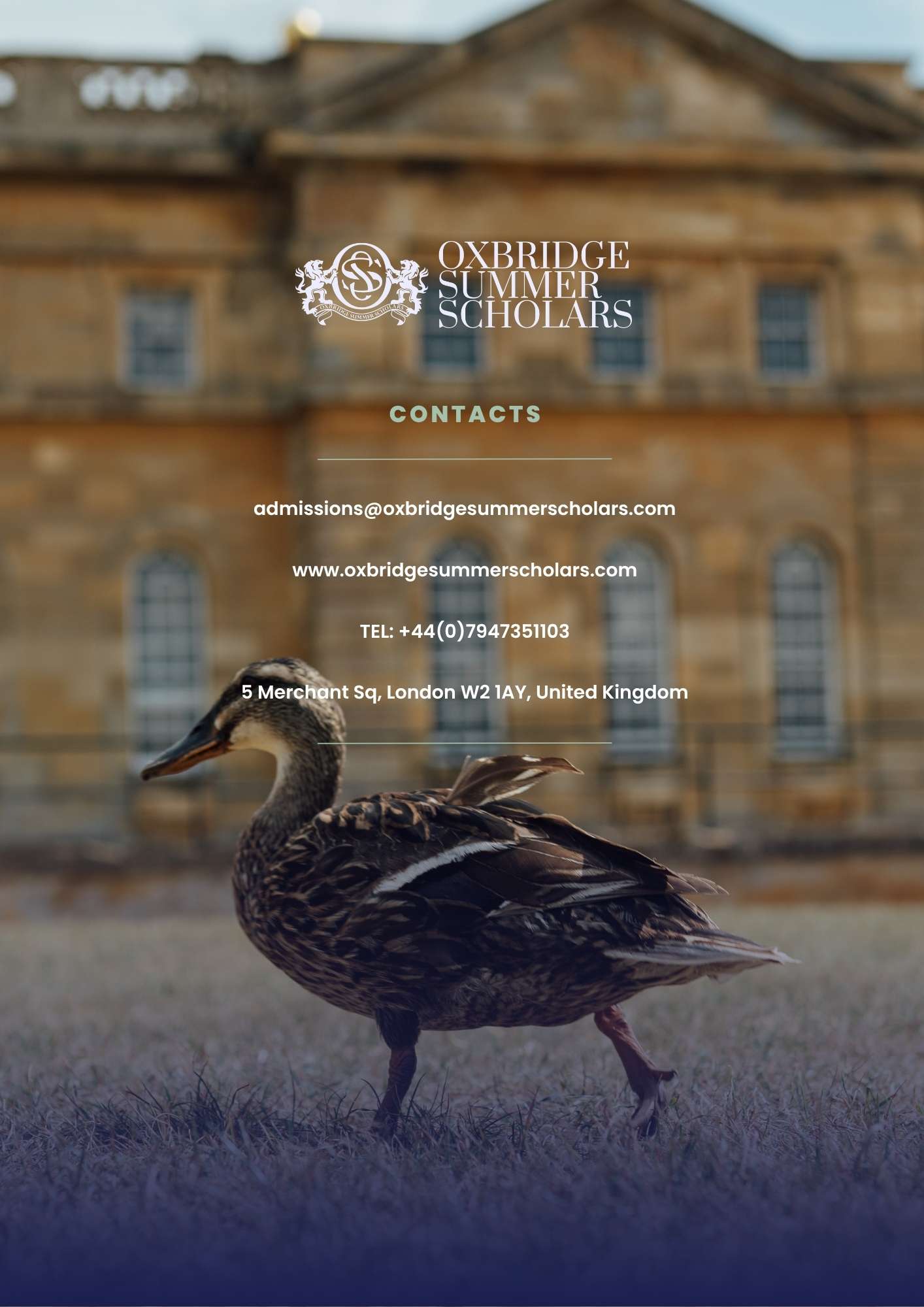 Contact information for Oxbridge Summer Scholars, including ways to get in touch with the admissions team.