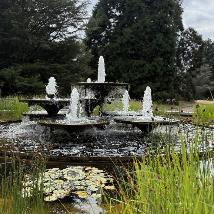 Cambridge University Botanic Garden