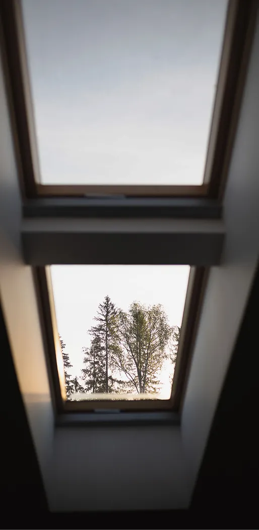 Blick durch ein Dachfenster auf Bäume vor einem bewölkten Himmel.