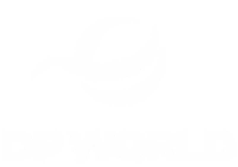 DP World logo with stylized abstract swoosh shapes above the text.
