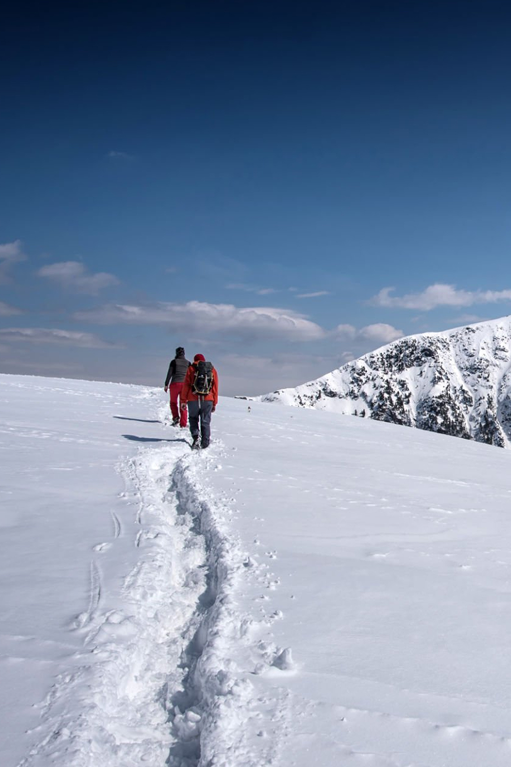 Serene Woman in Sunlight