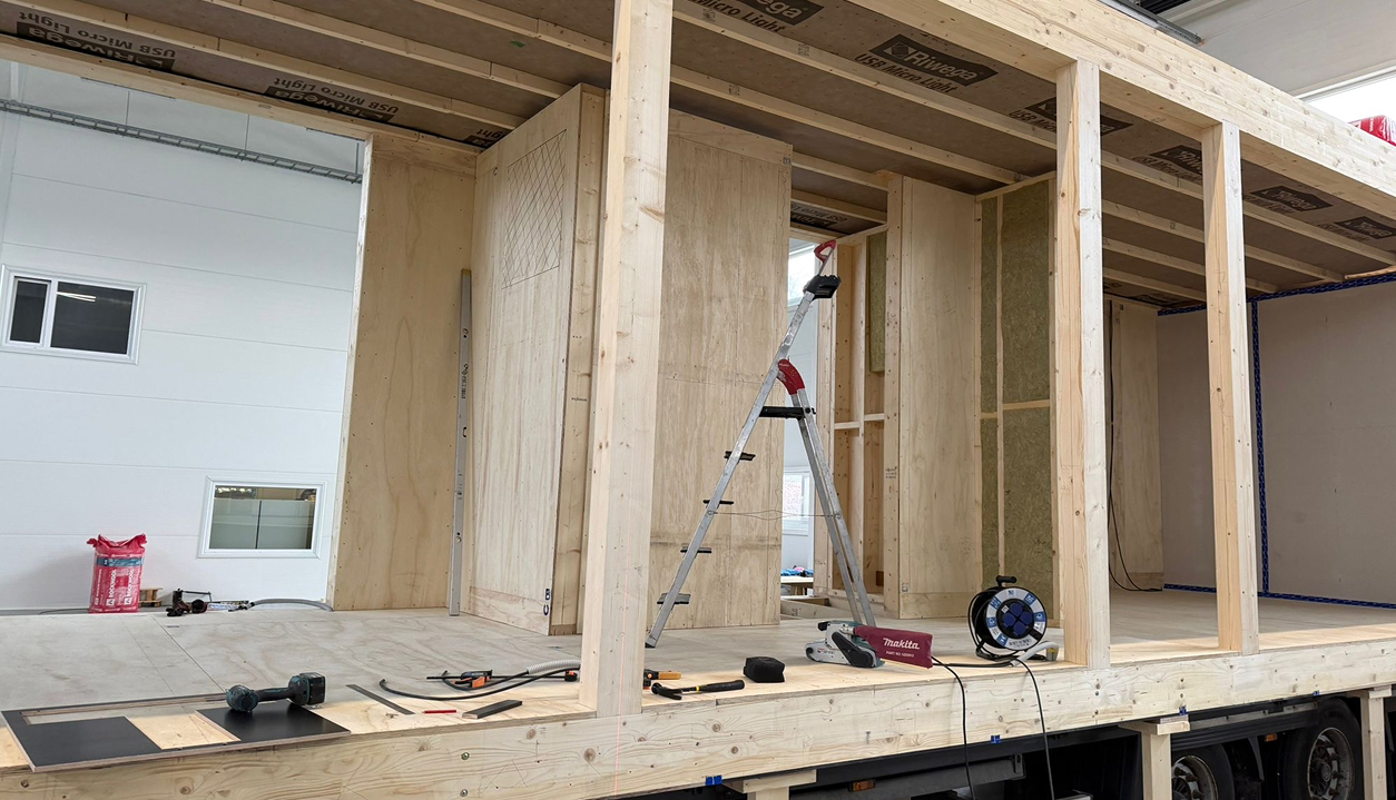 Serene Woman in Sunlight