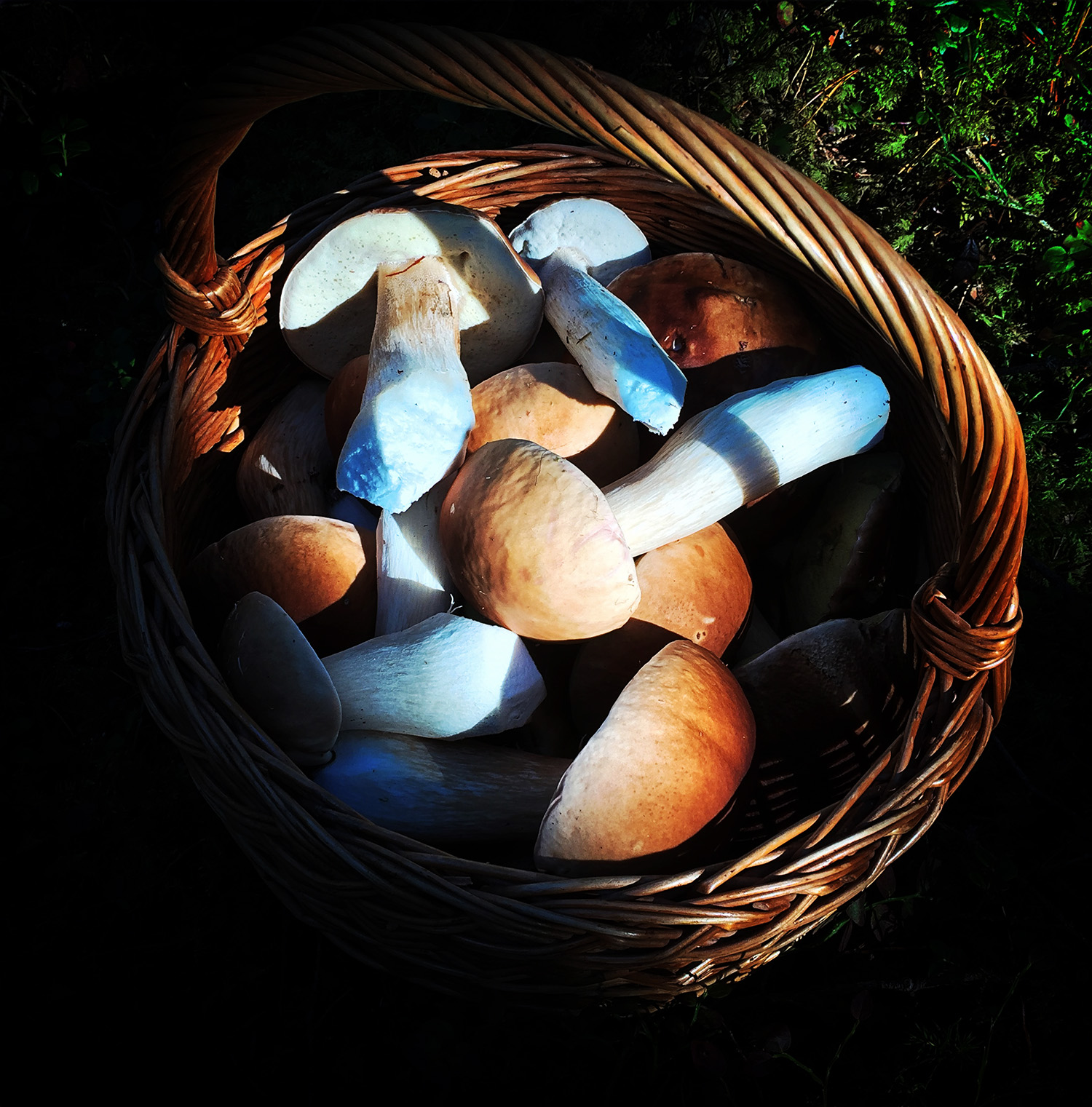 Smaksrik mat med kortreise råvarer. Curtisen i Halden, på Fredriksten Festning