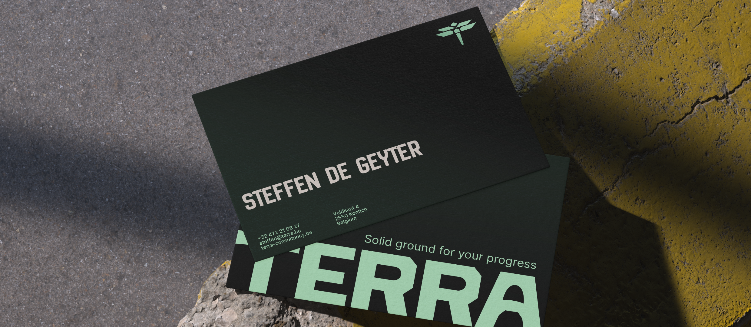 Mockup of 2 Terra branded business cards stacked on top of each other.