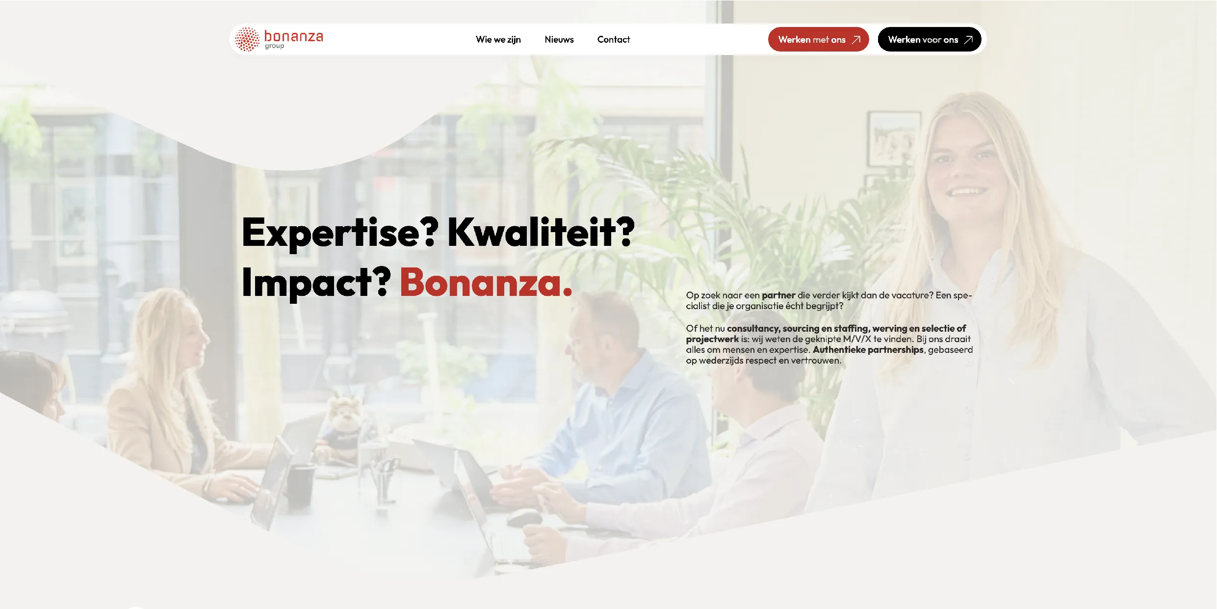 Screenshot of one of the Bonanza Group webpages.