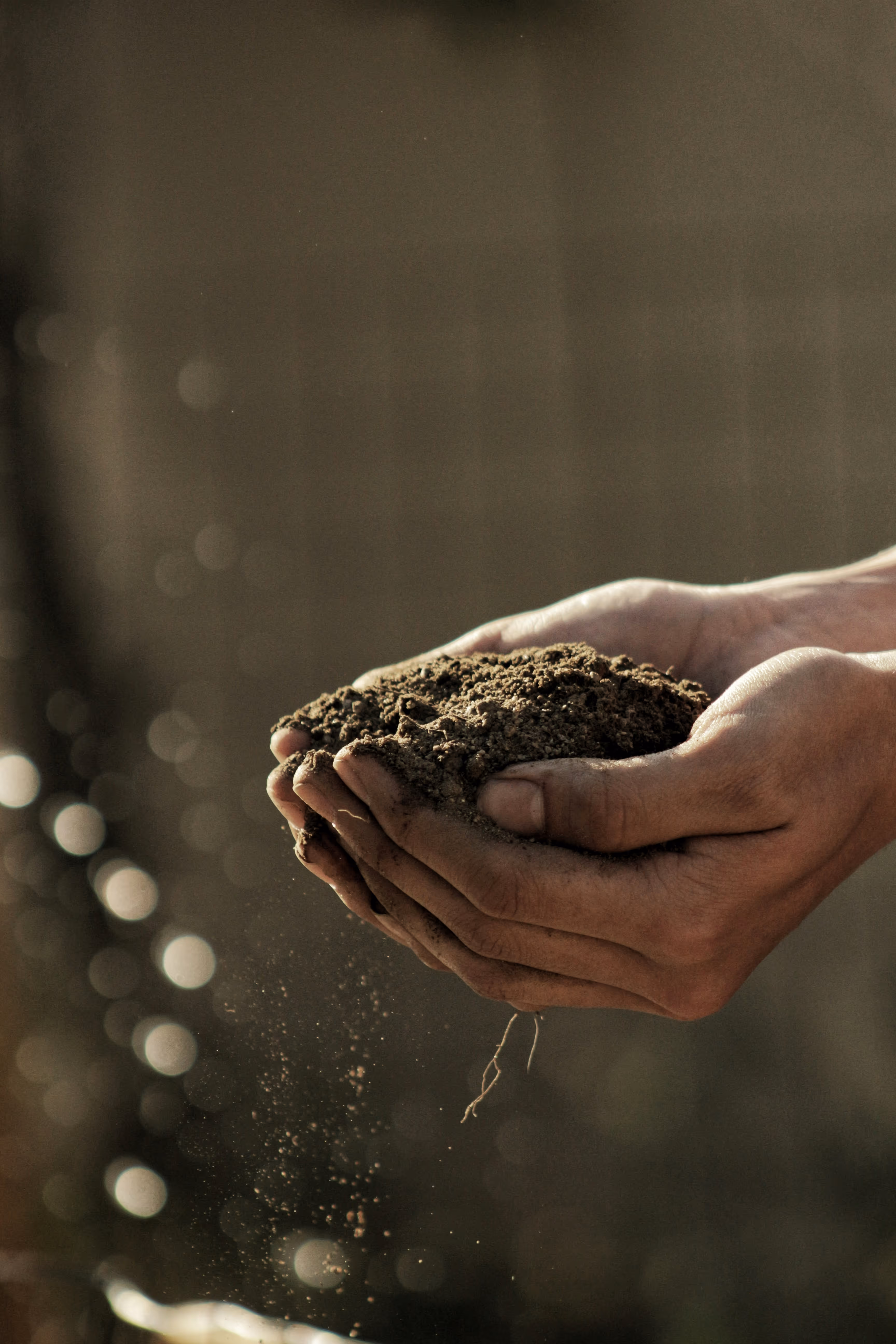 Two hands cupping a mound of soil with particles falling through the fingers against a blurred background.