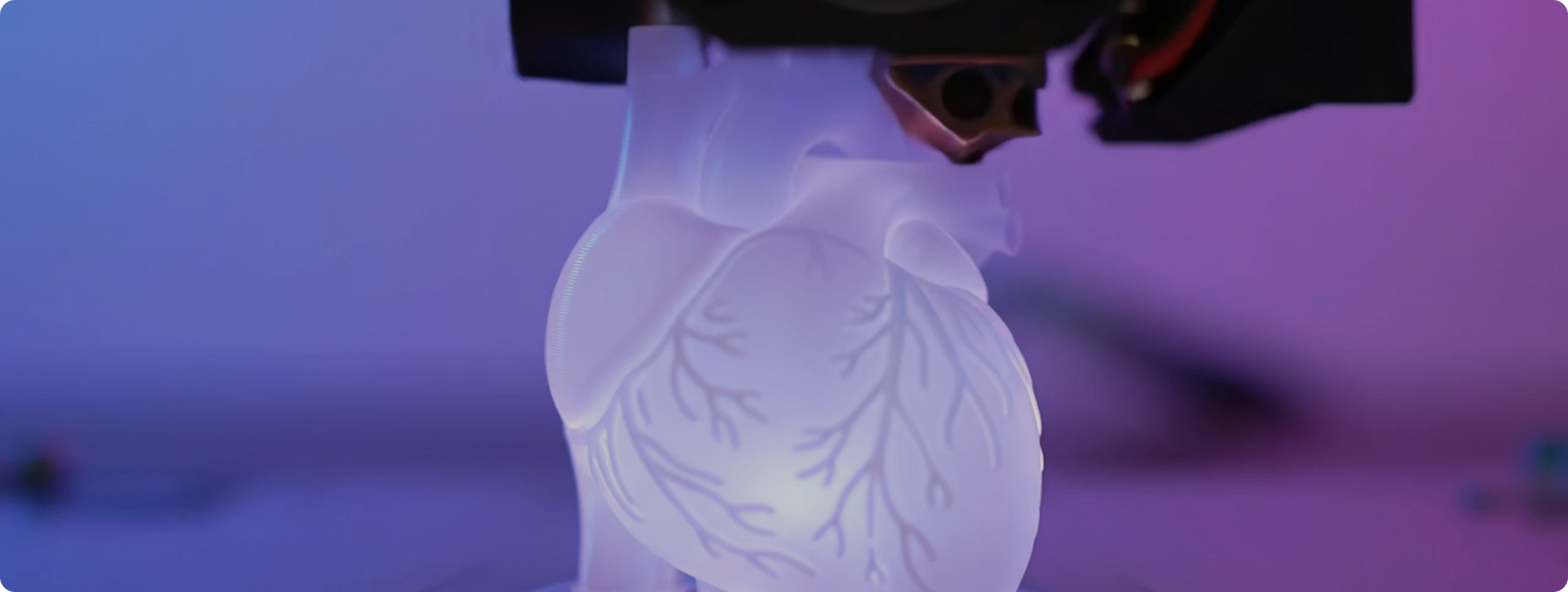 vertex Lab
