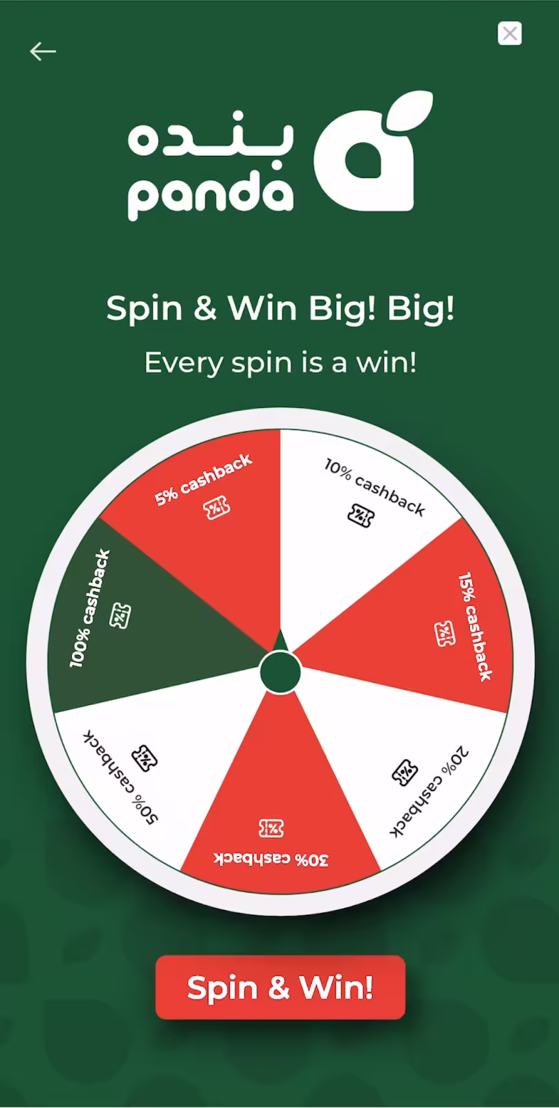 App screen featuring a Spin & Win cashback wheel for "panda" brand.
