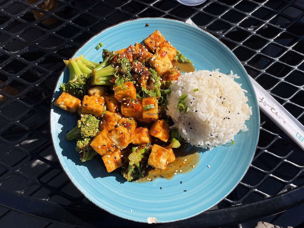 Turquoise plate holds cubes of tofu and broccoli in sauce, plus round of rice, served outside.