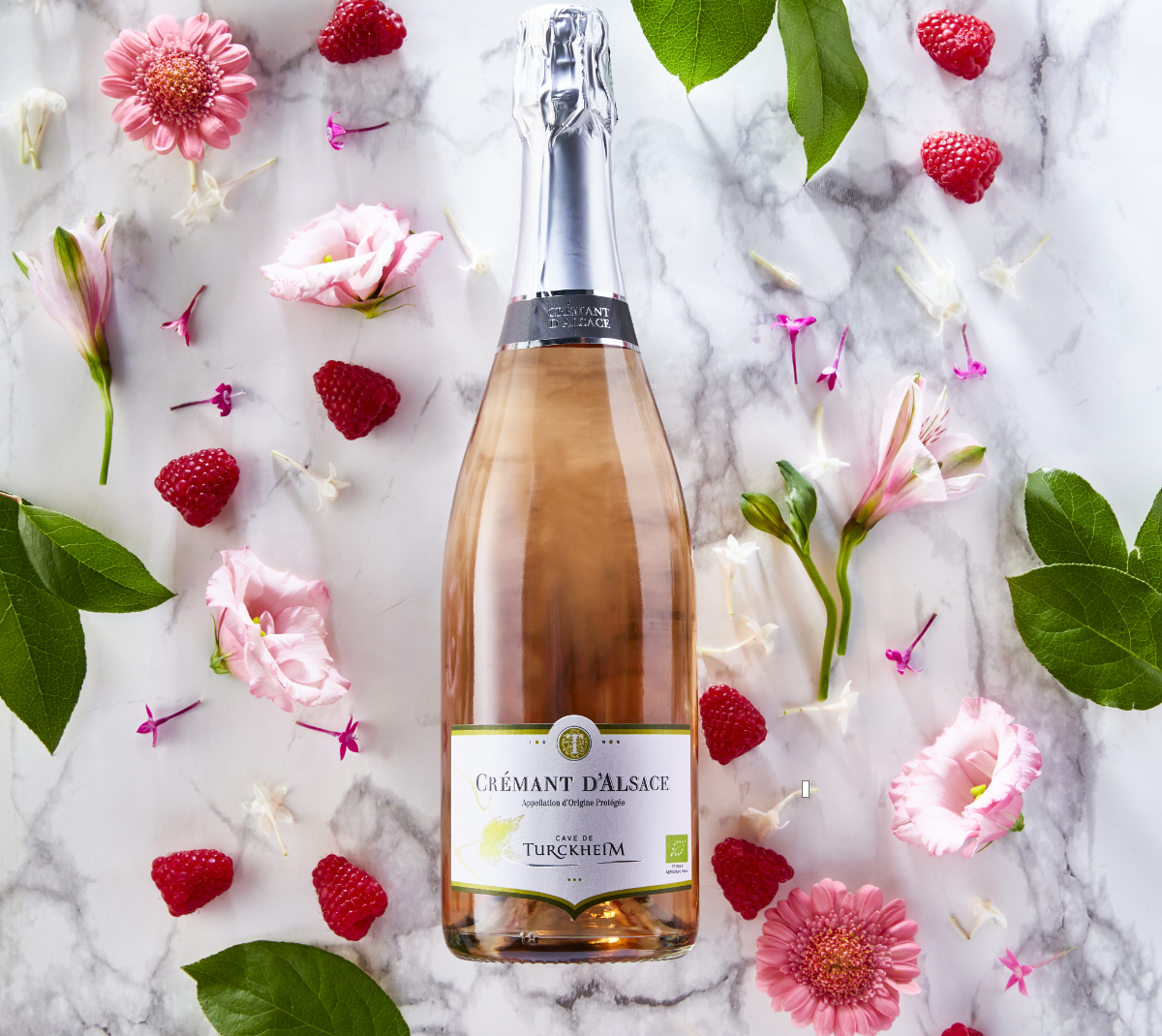 Visuels premium : photo et vidéo pour vignerons