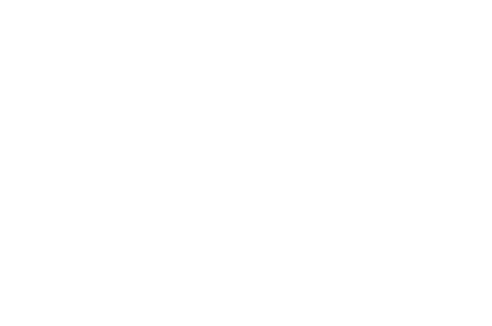 BGV logo